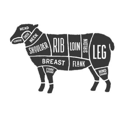 Lamb cuts diagram